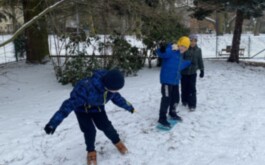 xxvf6qo8yx_____IMG_3248