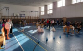 d7hh6xcbfx_____651035789_1400941562045232_5736282622737506583_n