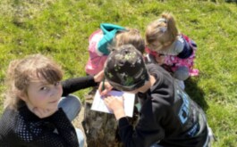 v7i3fnznie_____IMG_3662