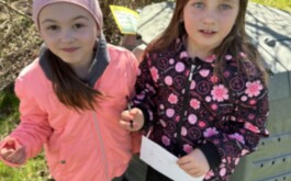 v7i3fnznie_____IMG_3662