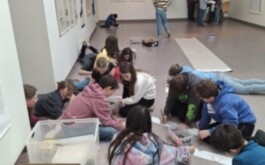 spg9kzbx7o_____4_a_hampl (2)