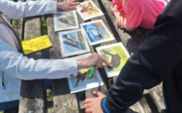 4xiz1o8a86_____original-B270C0EE-F8CA-48AB-B447-1BB1144699EA