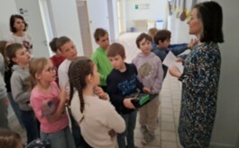 zoi8p815u5_____IMG_7310