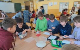 zoi8p815u5_____IMG_7310