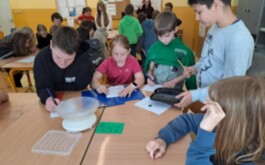 zoi8p815u5_____IMG_7310