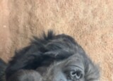 IMG_8096.jpeg