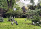 IMG_8081.jpeg
