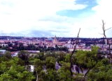 IMG_8104.jpeg