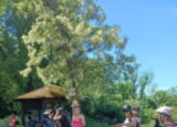 IMG_20260528_120216_374.jpg