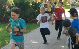 y3mfljdw4x_____IMG_20260522_112648_404