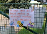 348766fe-13a5-4c16-9573-11d9c5a5bafe.jpeg