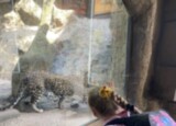 IMG_5166.jpeg