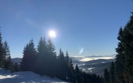 mgiv1k2s24_____IMG_6408