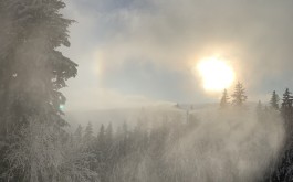 mgiv1k2s24_____IMG_6408