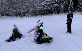 mgiv1k2s24_____IMG_6408