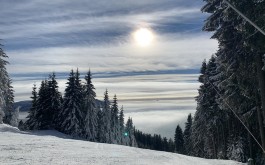 mgiv1k2s24_____IMG_6408