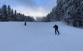 mgiv1k2s24_____IMG_6408