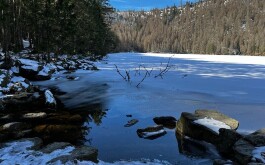 3vm960vinh_____WhatsApp Image 2023-03-15 at 12.45.25(1)