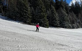 3vm960vinh_____WhatsApp Image 2023-03-15 at 12.45.25(1)