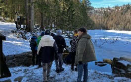 3vm960vinh_____WhatsApp Image 2023-03-15 at 12.45.25(1)