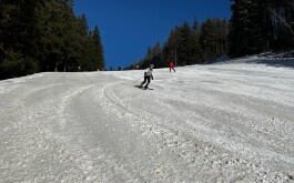 3vm960vinh_____WhatsApp Image 2023-03-15 at 12.45.25(1)