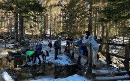 3vm960vinh_____WhatsApp Image 2023-03-15 at 12.45.25(1)