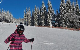 63ytjw84oc_____20240116_162945