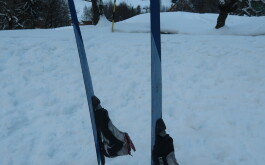 63ytjw84oc_____20240116_162945