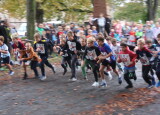 IMG_5067.JPG