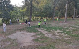 efobk3350w_____IMG_20240911_102541