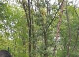 IMG_20240911_103505.jpg