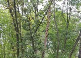 IMG_20240911_103513.jpg