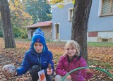 thumbnail_20241024_090810.jpg