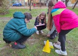 thumbnail_20241024_110850.jpg