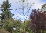 thumbnail_20241024_105454.jpg