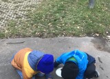 Image(22).jpeg