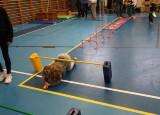 IMG_5279.JPG