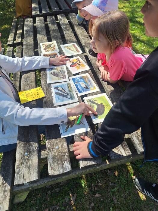 Družina - jarní akce na zahradě 2026