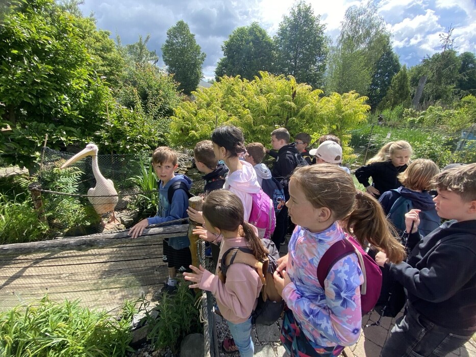 Výlet ZOO Plasy 2026